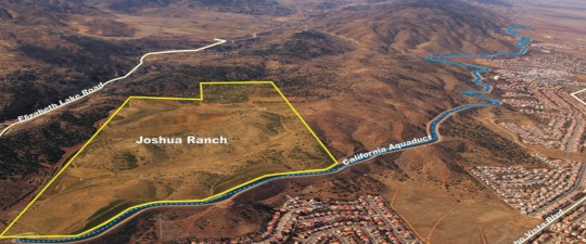 Joshua Ranch